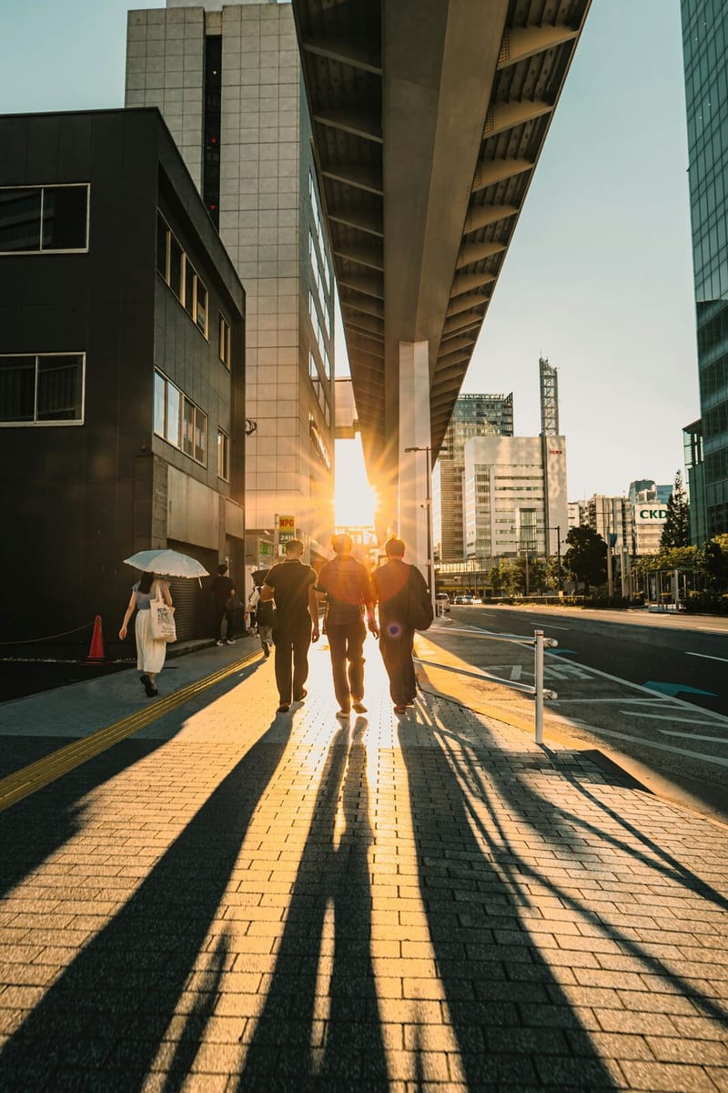 Three people walking away along a city pavement at sunset, the low sun ahead of them casting long shadows behind.